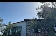 Ulivi e Mare - Foto 15