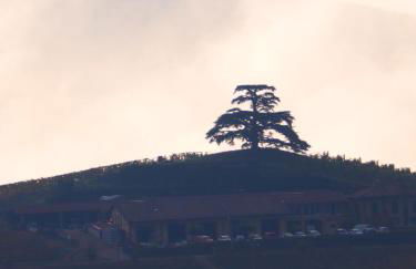 La Vigna del Parroco-2- - Foto 54