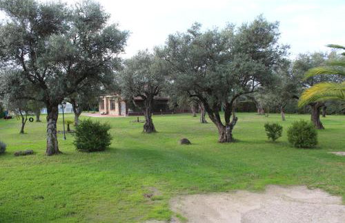 La Huertarrona - Photo 62