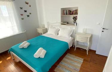 Tsipouras House - Foto 18