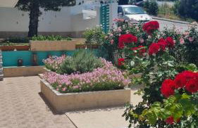 Arocaria Apartment in Faliraki with garden , mountain and sea view - Photo 64