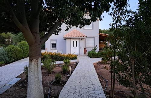 Studio Katafigi - Foto 1