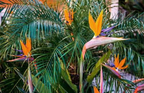 Estrela da Luz Resort - Foto 61