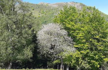 Ondarbaso Apartamentos Rurales I - Foto 12