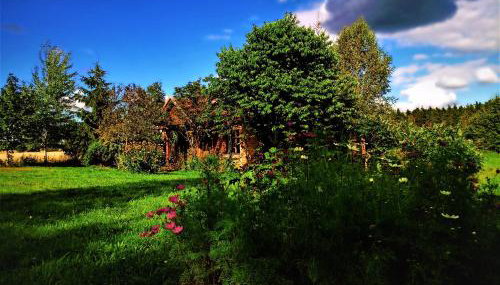 Butterfly Factory - Foto 2, Garden view