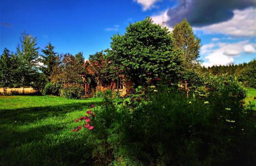 Butterfly Factory - Foto 2