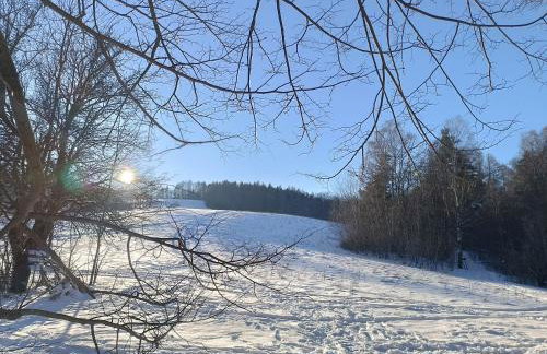 Dębowy Zakątek - Foto 39