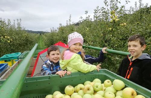 Unterfrickhof - Foto 6