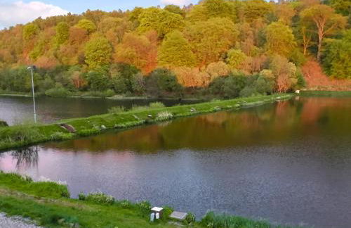 Carribber Beech - Foto 16