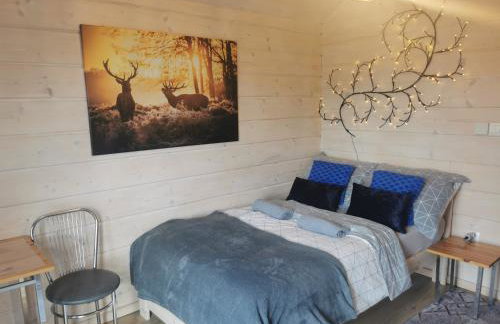 Noclegi Święta Katarzyna ,, Pod Jeleniami "prawdziwymi - Foto 59