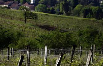 Gîte À La Ferme - Le Perchoir - Foto 16