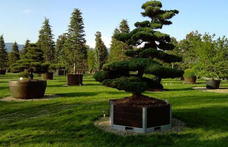 Suite Maria - Foto 37