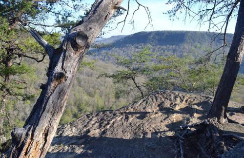 The Bird House near Fall Creek Falls State Park - Foto 39