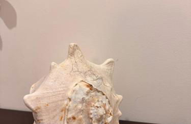 Refúgio Suave Mar - Foto 26