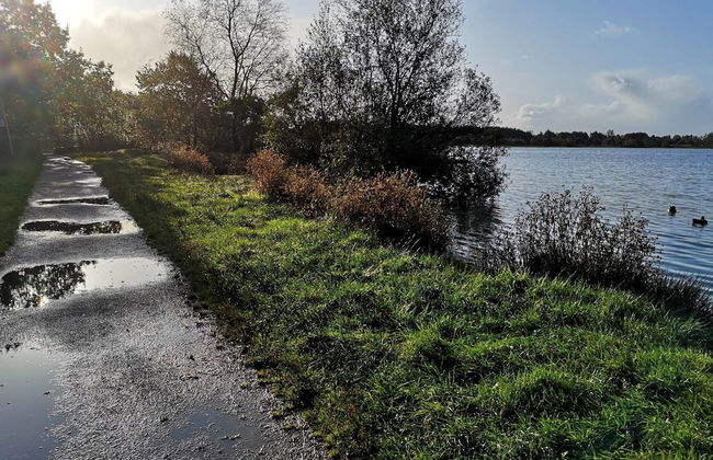 Spacious Holiday Home in Ansager near Lake - Foto 6