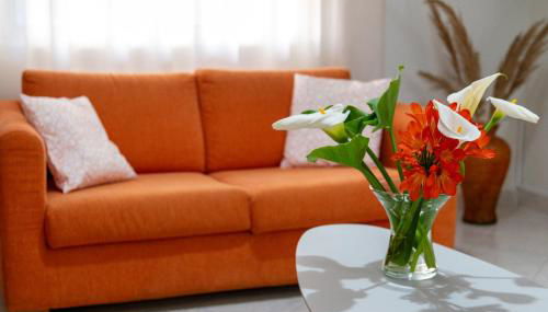 50 DANAIDES - Foto 2