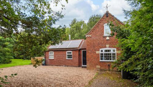 Paws In The Pines - Photo 2