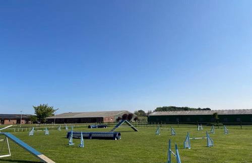 Strawberry Fields - Foto 14