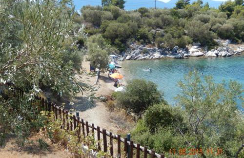 Argo - Mythos - Photo 8