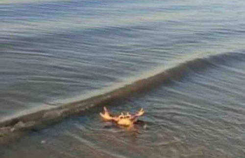 Refúgio Vila da Glória - Photo 68