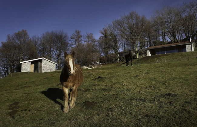 Cabañas Deluxe Basajaun Basoa by IrriSarri Land - Foto 47