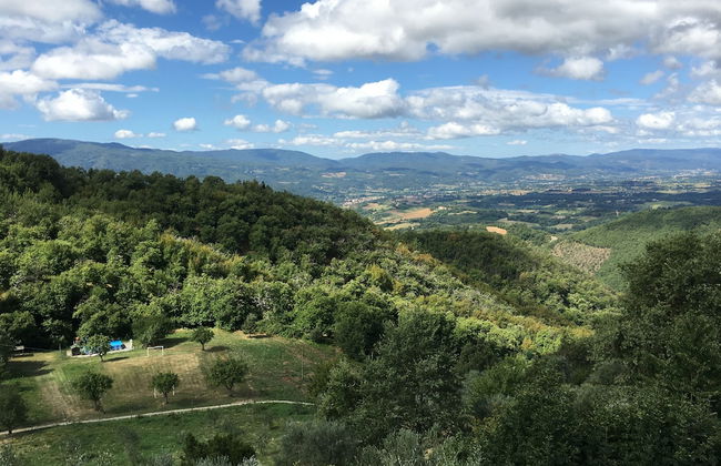 la Casetta Nel Bosco Feel the Nature - Foto 22