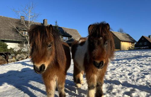 Landhaus Isolde - Foto 15