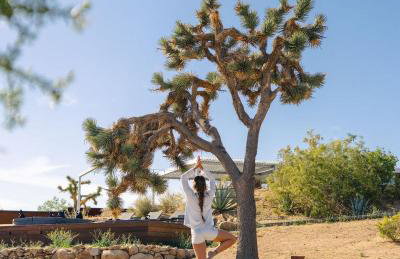 Steel & Solace By The Cohost Company - Foto 15