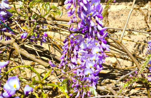 Appartement du Blanchet très agréable - Foto 21