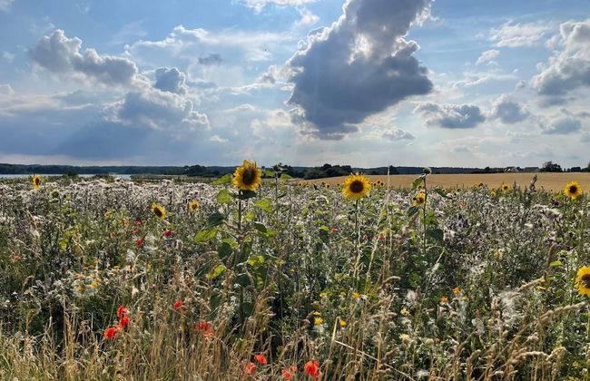 6 Person Holiday Home in Praesto-by Traum - Foto 10