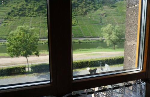 Weingut Göbel-Schausten - Foto 7