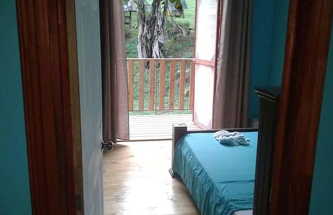 Drake Lapas - Foto 4