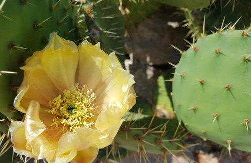 Romantic Apartment Sonja, Beachfront - Foto 51