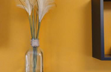 Maison carrée - domaine du vieux tilleul - Foto 35