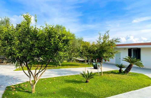 VILLA LA BOUGANVILLEA - Countryside Villa with Private Pool, Surrounded by Nature in VELLETRI - LAZIO - Foto 25