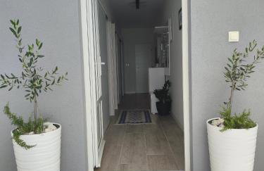 Holiday house with a parking space Postup, Peljesac - 19954 - Photo 16