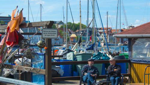 FEWO Muschel - Foto 5