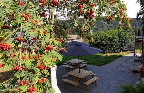 Gruppenhaus mit Grillkota für 16 Personen in Hahnenklee - Foto 38