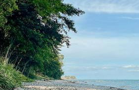 Familienfreundliches Ferienhaus Nahe Niobe Strand - Foto 33