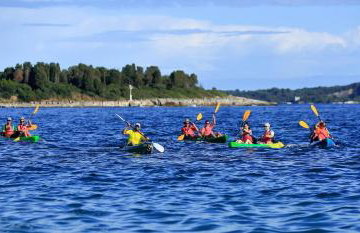 Villa Salvore - new luxury house, heated pool, near beaches, playroom - Istria - Foto 79