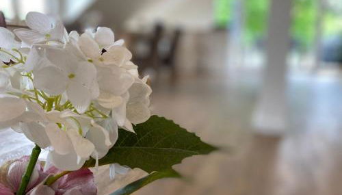 Ferienwohnung Köhler - Foto 2, Other