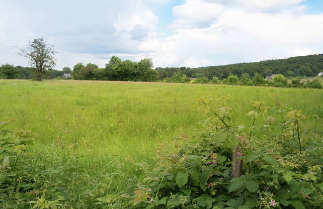 Mansion in Spa Liege With Private Garden - Photo 34