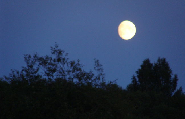 Perfect House for Groups, Many Facilities, 14 Miles From Skiarea Branas - Foto 30