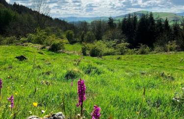 18th Century Farmhouse, England Wales Border, Breathtaking Views - Foto 44