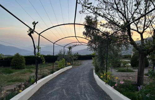 Villa Rústica en la Alpujarra - La Gualalla - Soportújar - Foto 30