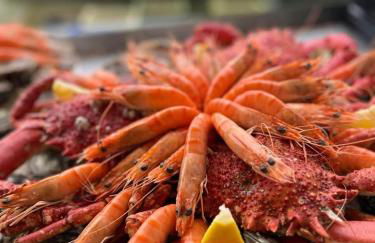 Studio Saint-Jacques - Foto 16