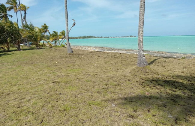 Alvira's Place - Foto 43