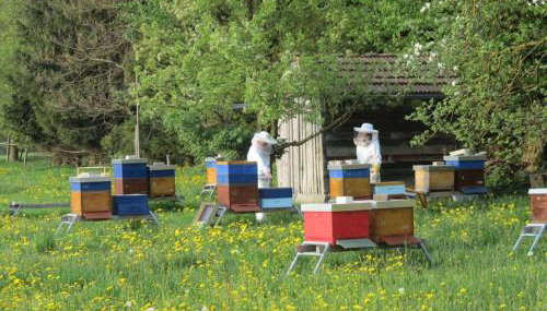 Das kleine Paradies - Foto 5