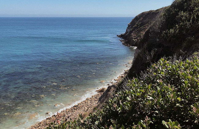 Malibu de van Volkswagen + Degustação de vinhos - Foto 3