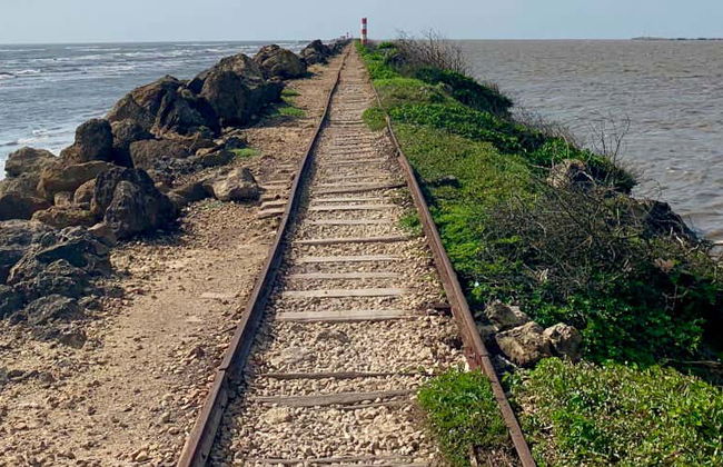 Bocas de Ceniza Day Trip - Photo 1